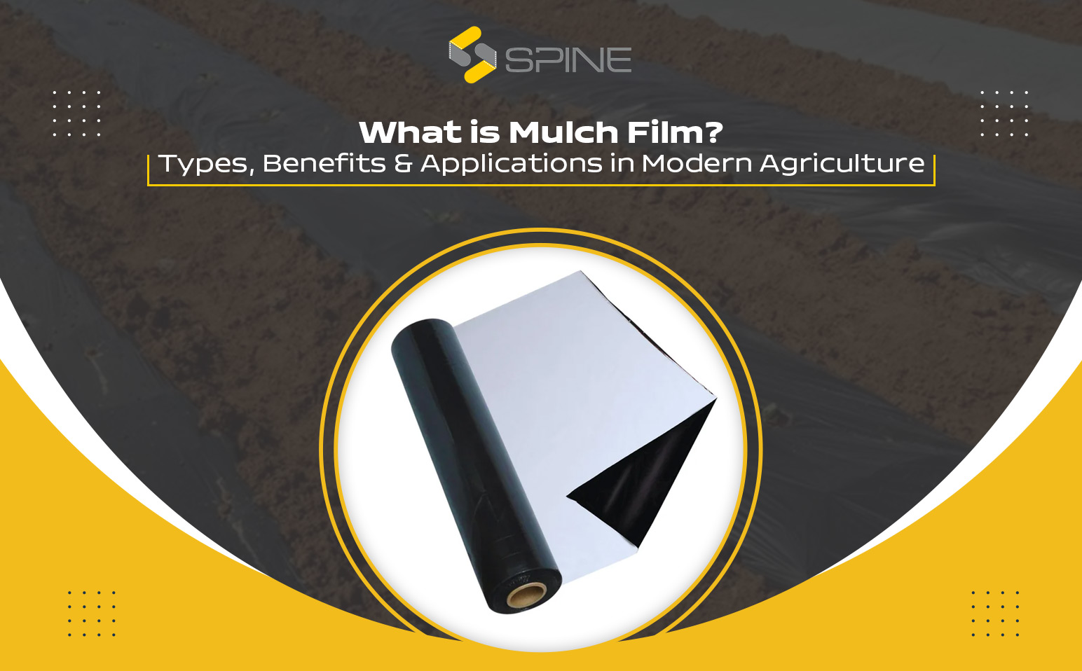 What is Mulch Film? Types, Benefits & Applications in Modern Agriculture