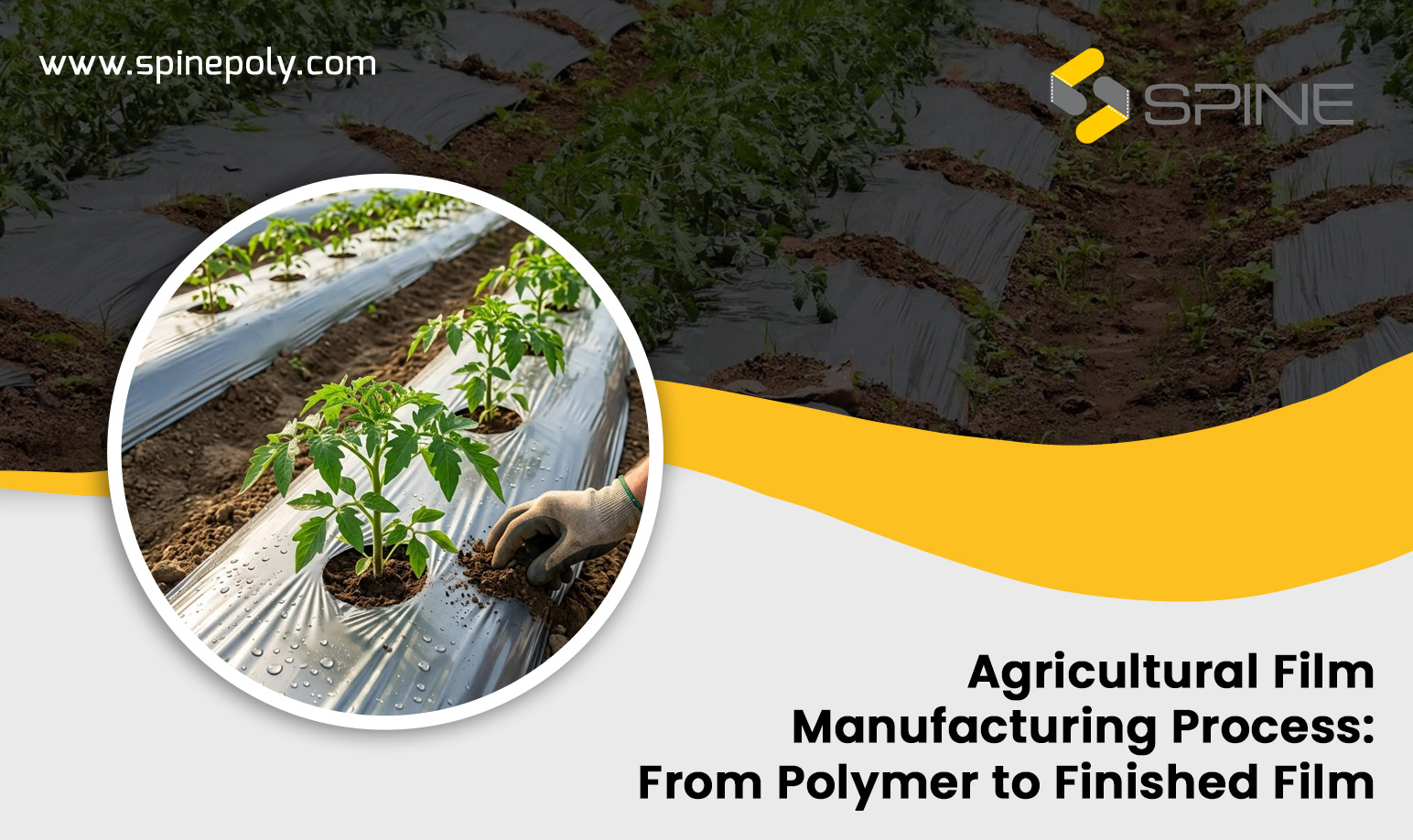 Agricultural Film Manufacturing Process: From Polymer to Finished Film